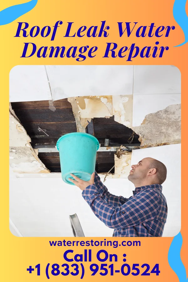 Roof Leak Water Damage Repair in Middletown, VA