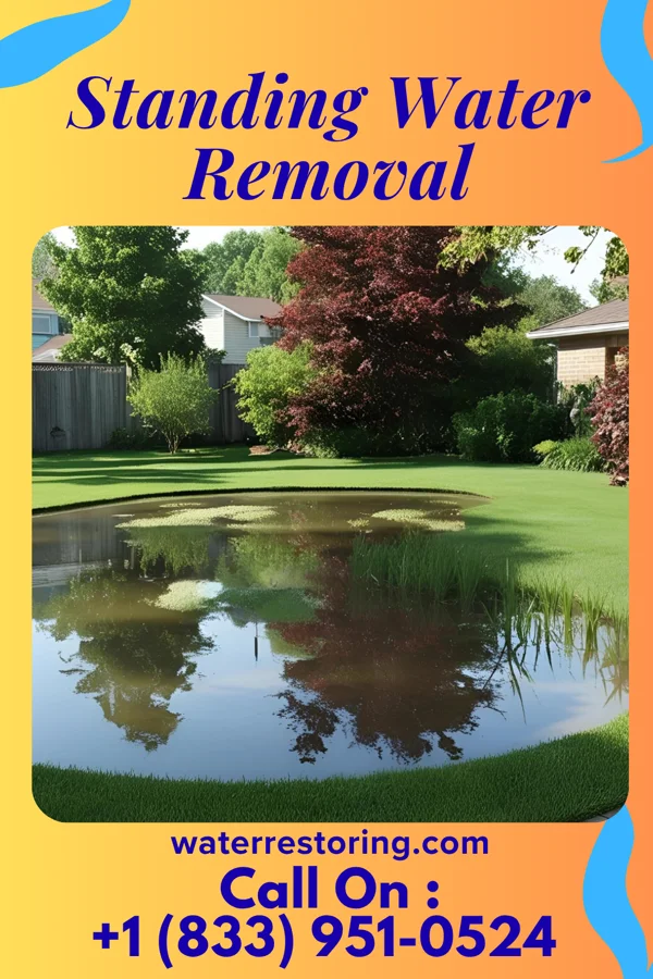 Standing Water Removal in Middletown, VA